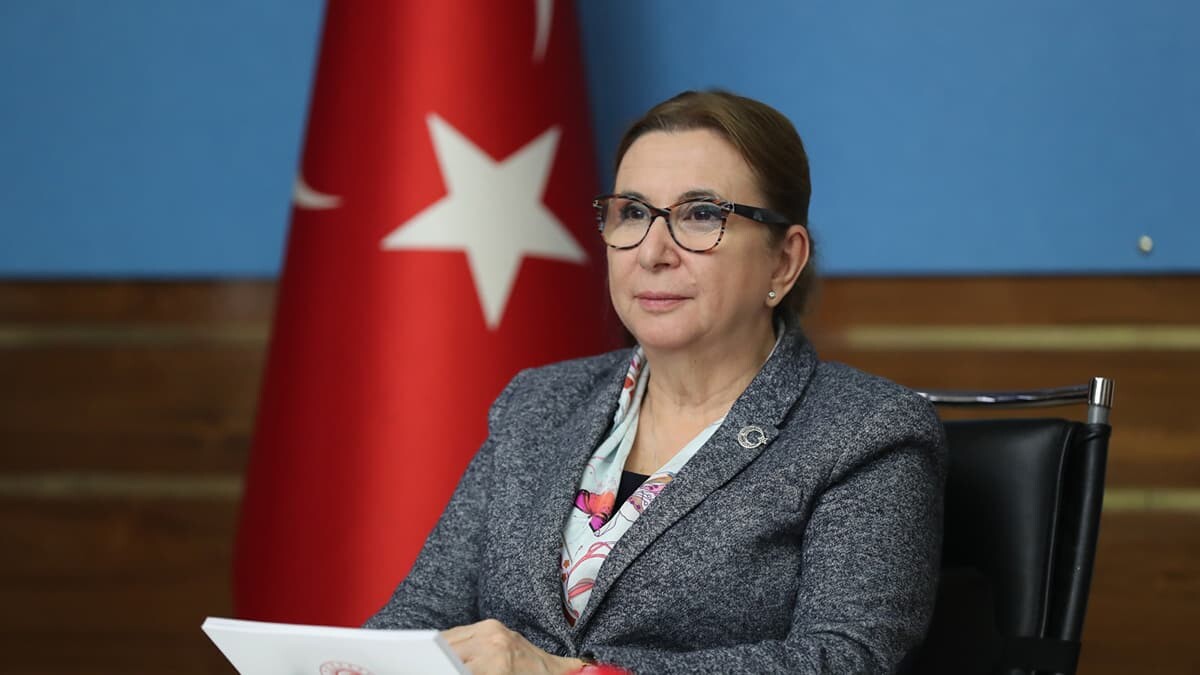 İngiltere ile anlaşmamızı imzalama gayreti içerisindeyiz