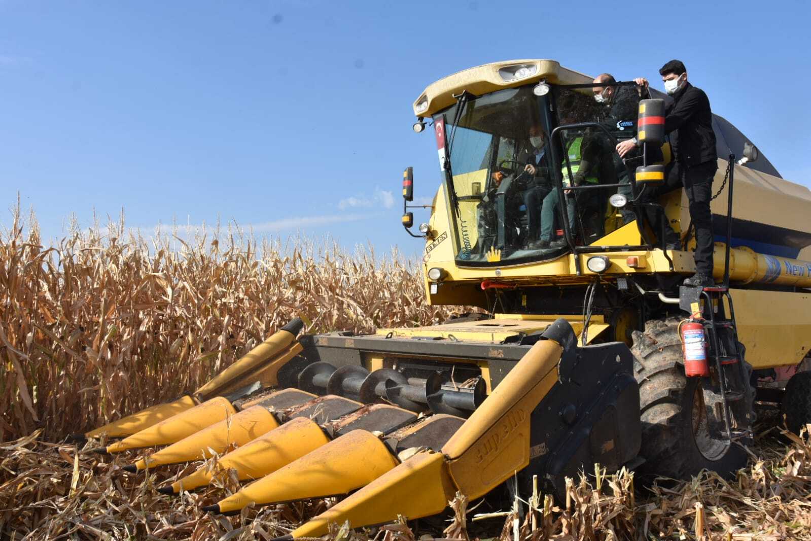 Soylu ve Pakdemirli mısır hasadı yaptı