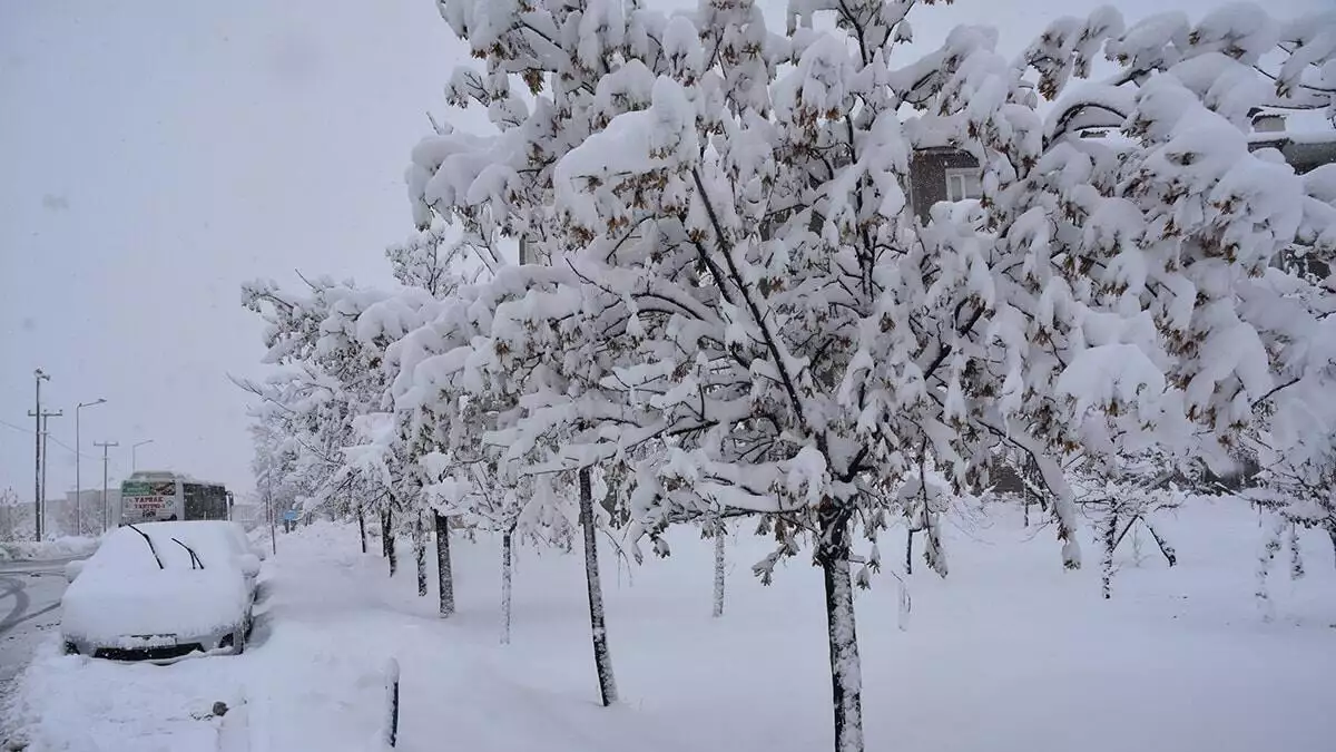 Bitlis’te dün başlayan ve aralıklarla devam eden kar yağışı nedeniyle 224 köy yolu ulaşıma kapandı.