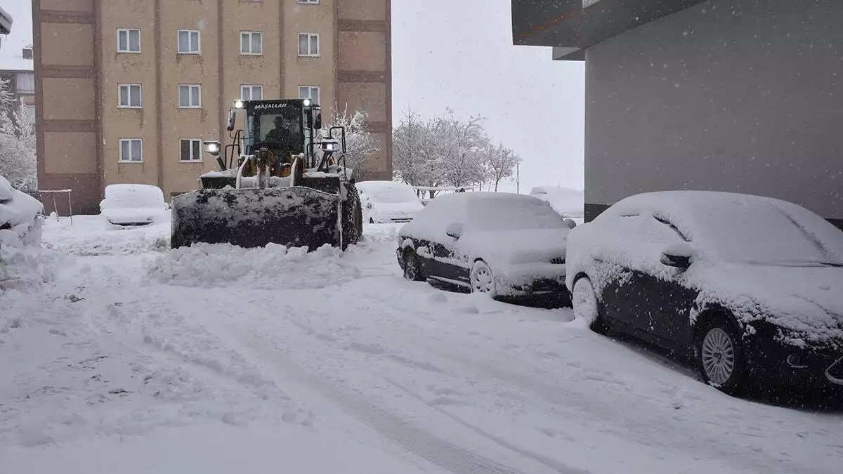 Bitlis’te 224 köy yolu kardan kapandı