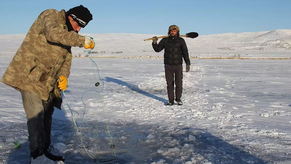 Kars'ın arpaçay ilçesinin taşbaşı köyündeki balıkçılar, dondurucu soğuklar nedeniyle yüzeyi tamamen buzla kaplanan çıldır gölü'nde eskimo usulü balık avına başladı.