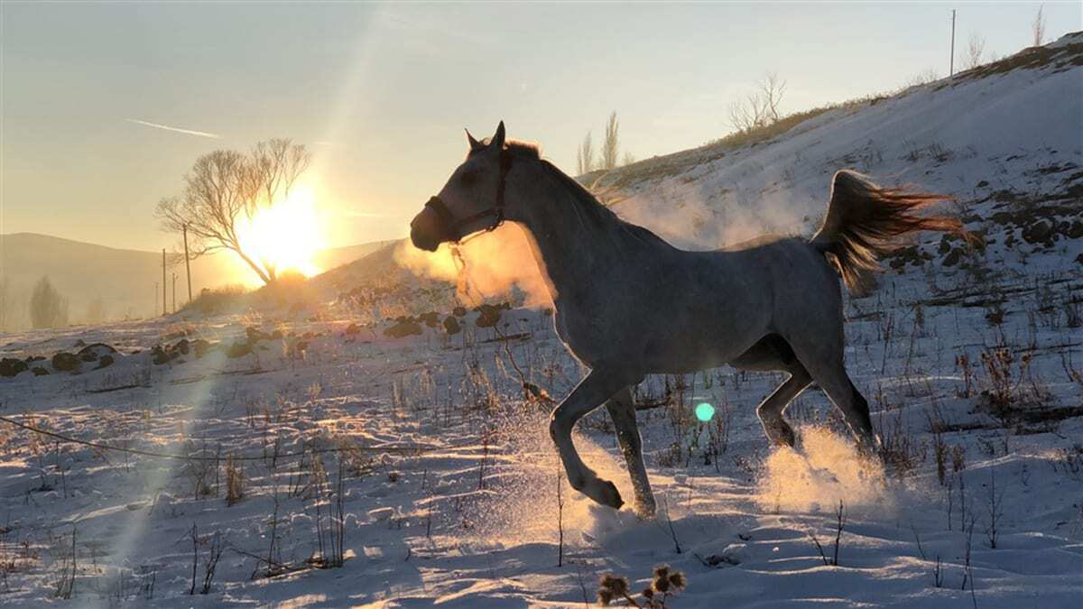 Ayaz günde 3 defa karda antrenman yapıyor