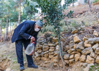 Son nefesime kadar ağaç dikmeye devam edeceğim