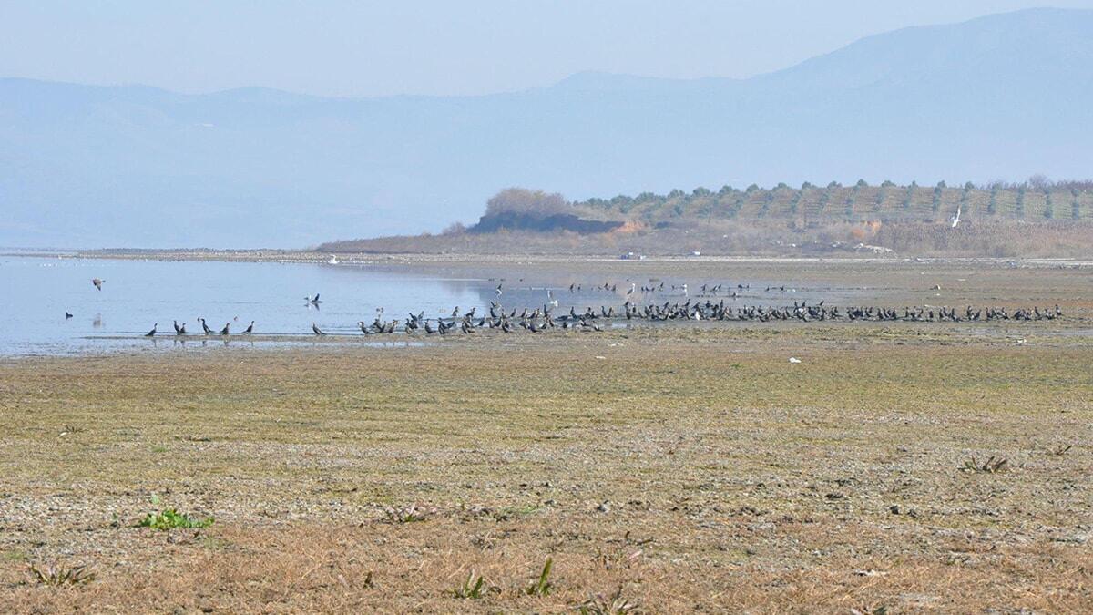 'Kuş Cenneti' olarak bilinen Marmara Gölü, kimliği belirsiz kişi veya kişilerce dökülen hafriyat ve molozlar nedeniyle kirletildi.