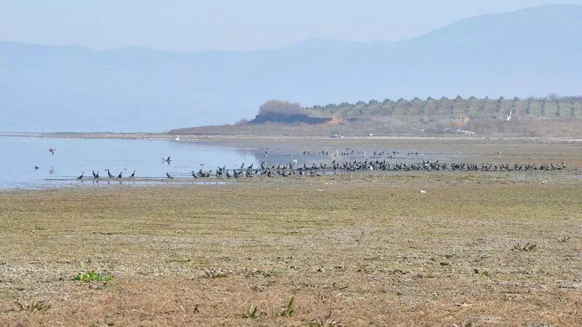 'kuş cenneti' olarak bilinen marmara gölü, kimliği belirsiz kişi veya kişilerce dökülen hafriyat ve molozlar nedeniyle kirletildi.