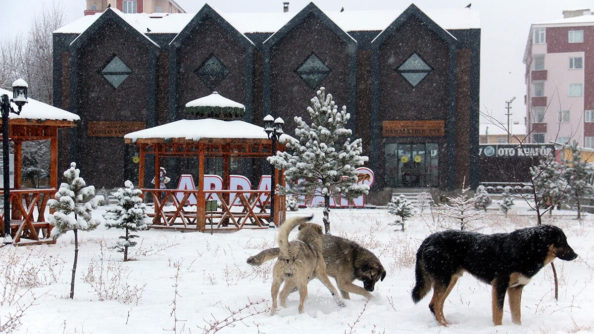 Doğu Anadolu Bölgesi için meteorolojinin bildirdiği kar yağışı, dün akşam saatlerinde başladı.