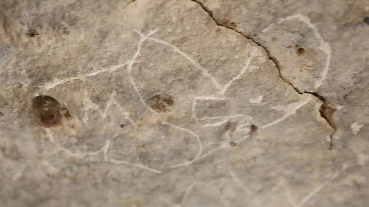 Dülük Antik Kenti'nin duvarları yazı tahtasına döndü