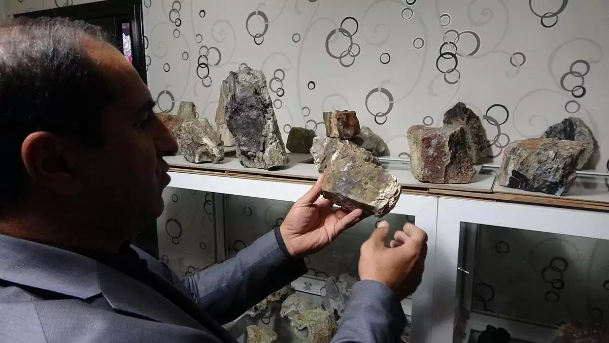 Oğuzhan türk, 3 ayrı noktada fosil ağaç kalıntısı buldu. Fosil ağaç kalıntılarının, yapılan incelemede, yaklaşık 160 milyon yıl öncesine ait olduğu belirlendi.