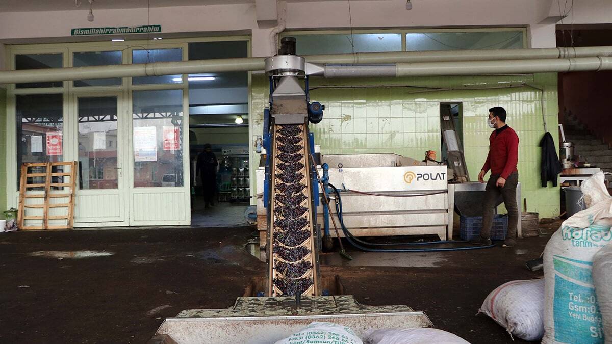 Rekoltede büyük düşüş oldu