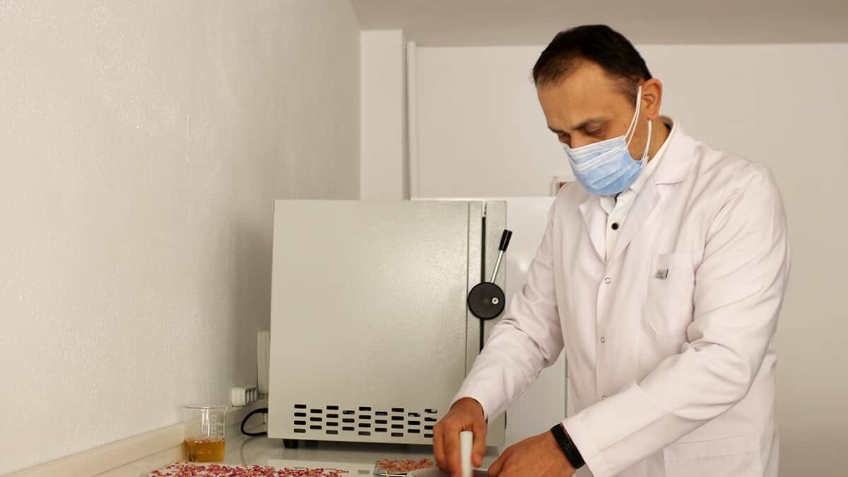 Gül yaprakları posasından hammadde üretti