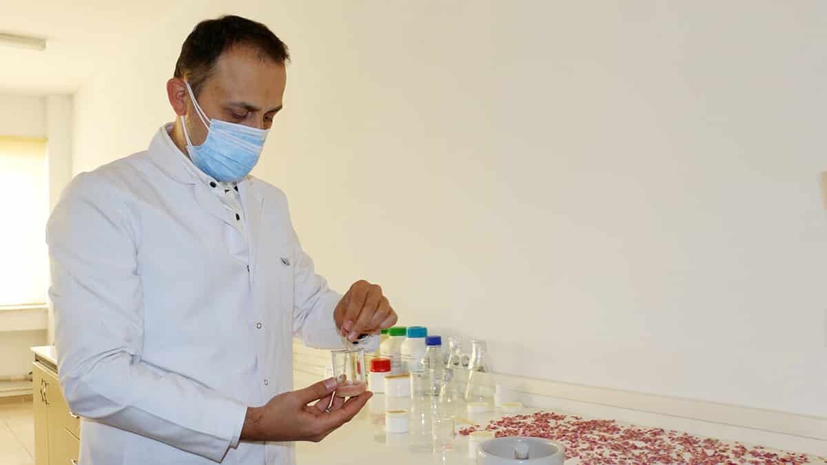 Gül yaprakları posasından hammadde üretti