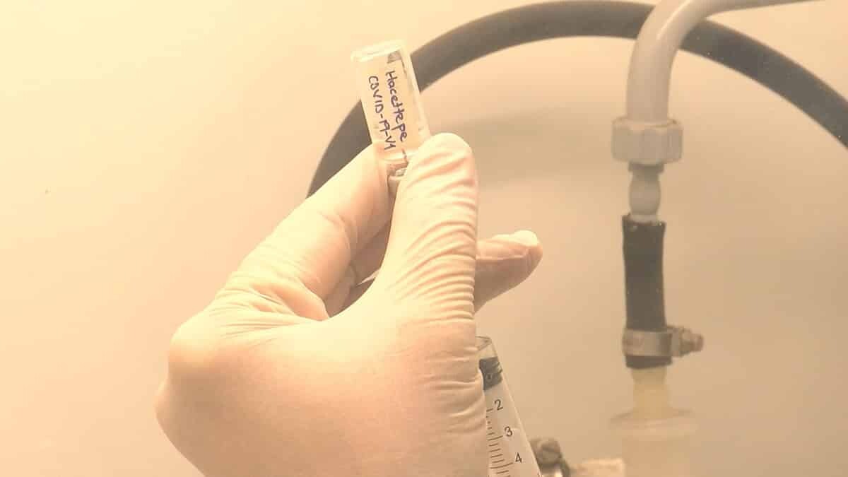 Hacettepe'de yerli aşı çalışmaları başarıyla sürüyor