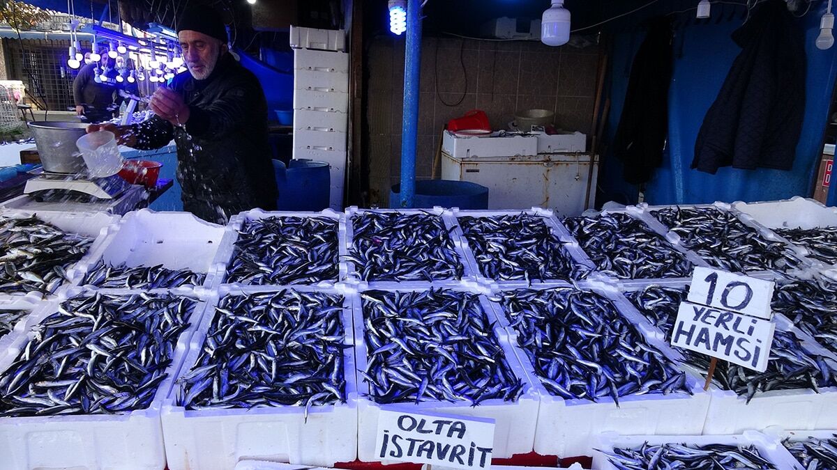 Hamsi kuzeye yöneldi balıkçılar bolluğun azalmasından endişeli