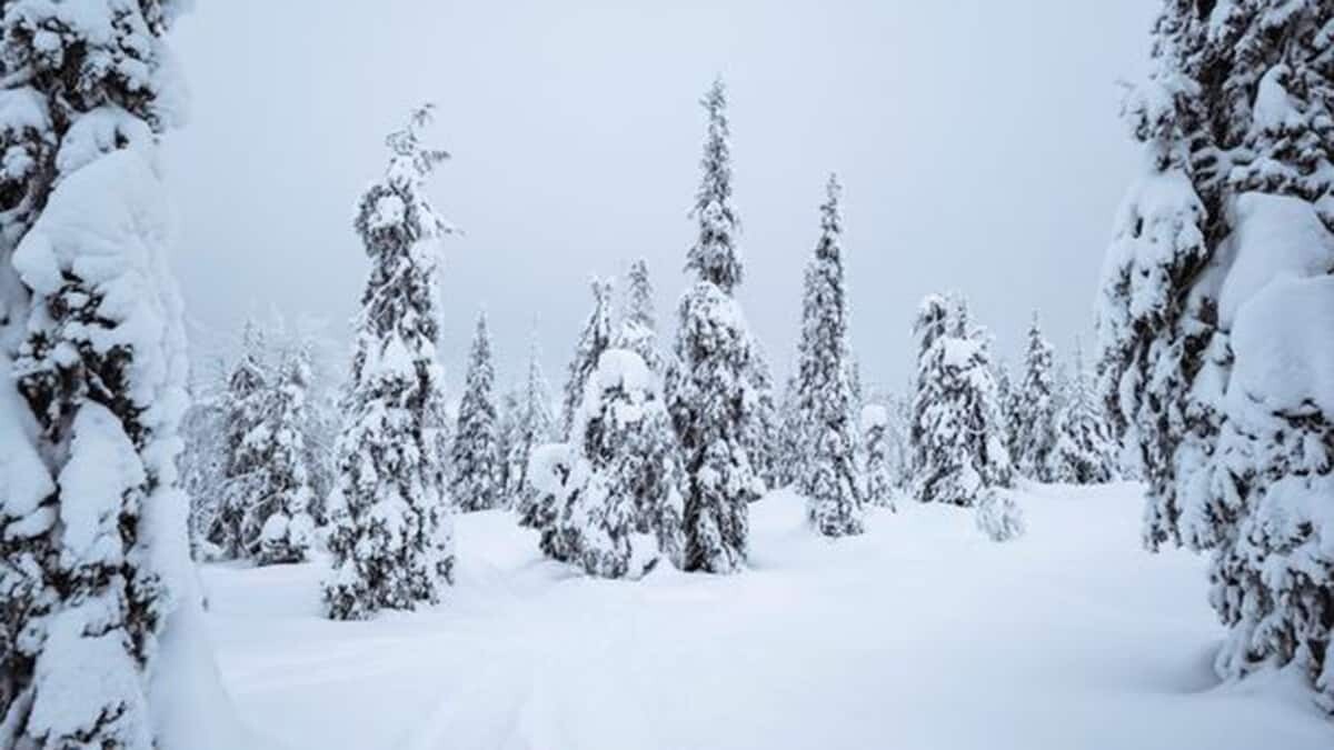 2040'ta kar yağmayabilir