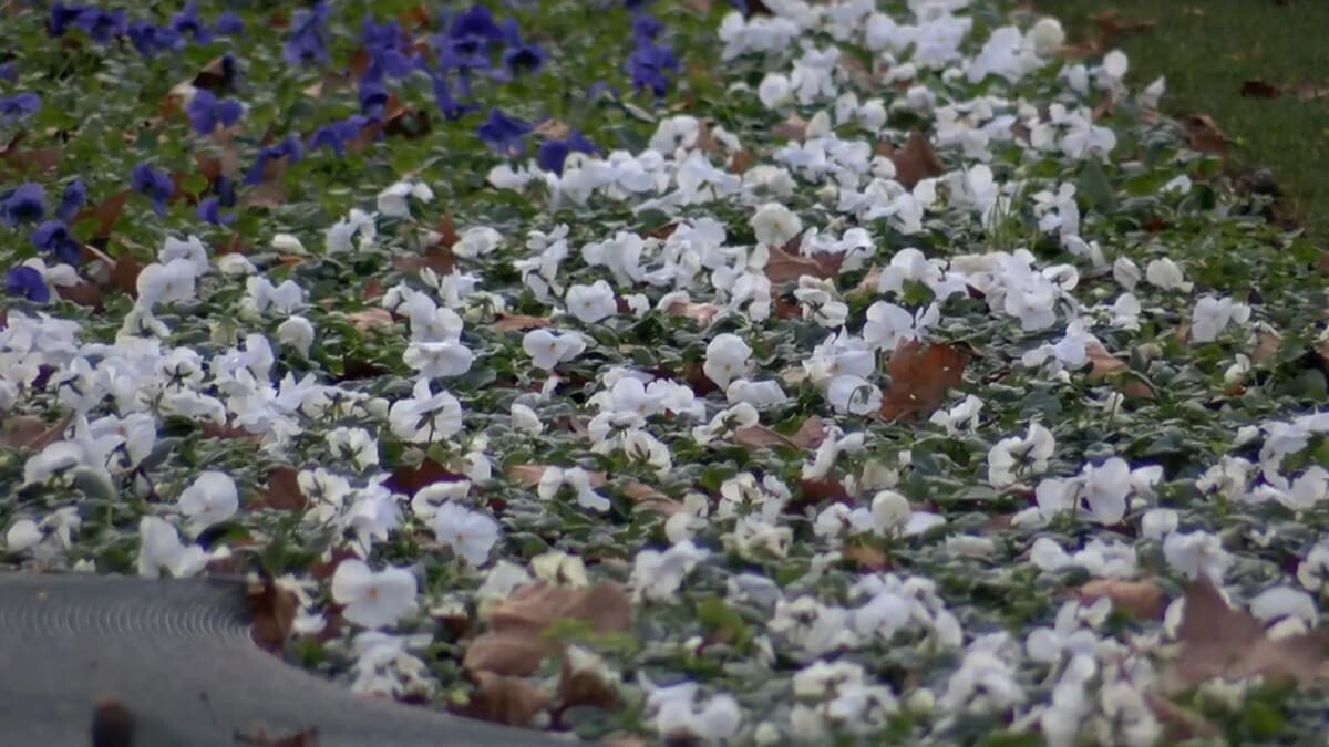 Hava sıcaklıkları mevsim normallerinin üzerinde