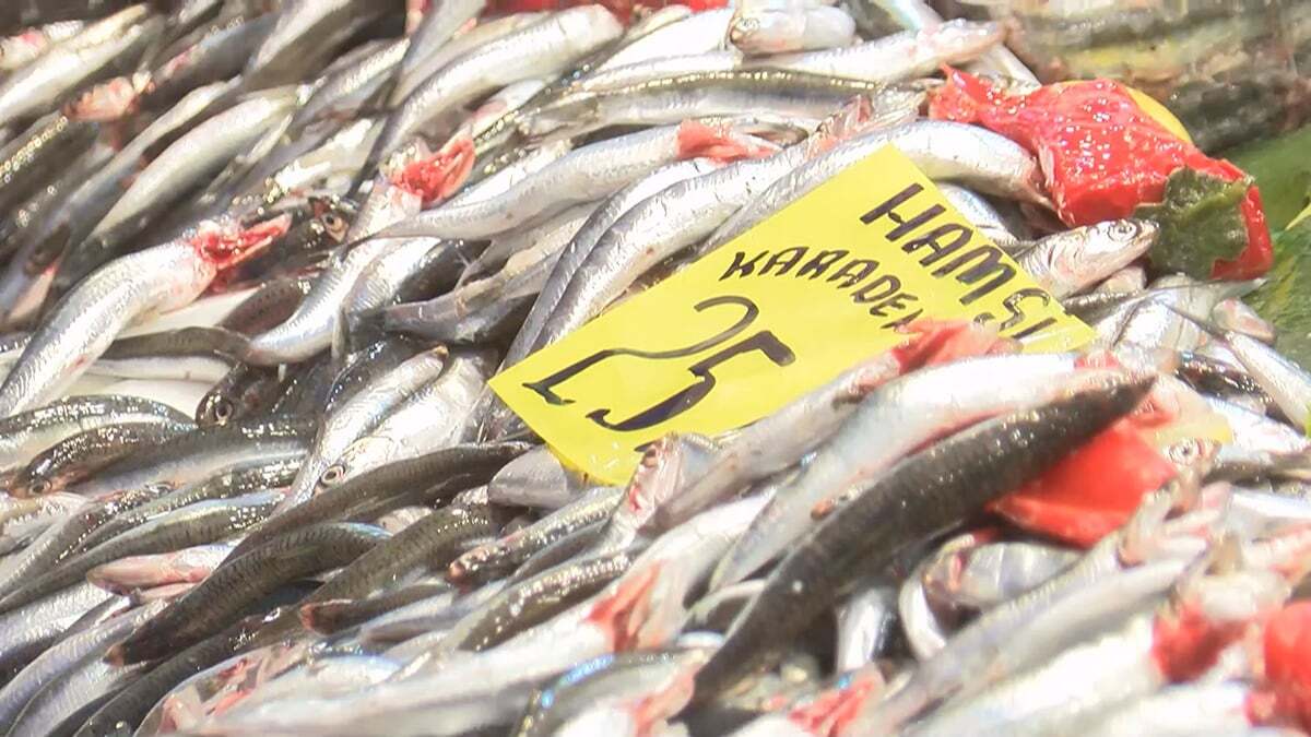 Balık tezgahları tek tek denetlendi