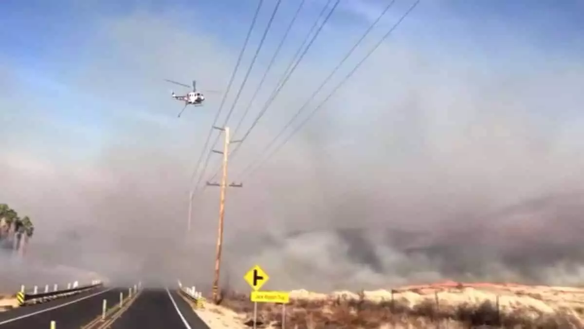 Kaliforniya'da orman yangını 2 bin dönümlük alana yayıldı