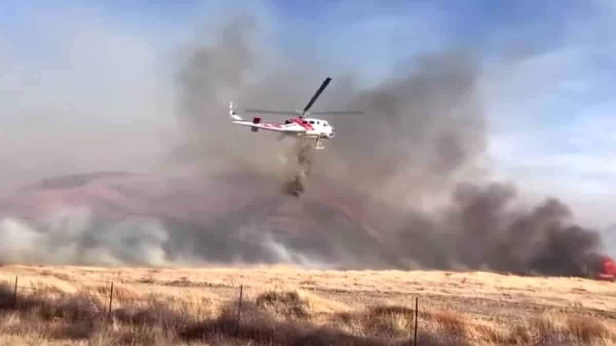 Kaliforniya'da orman yangını 2 bin dönümlük alana yayıldı