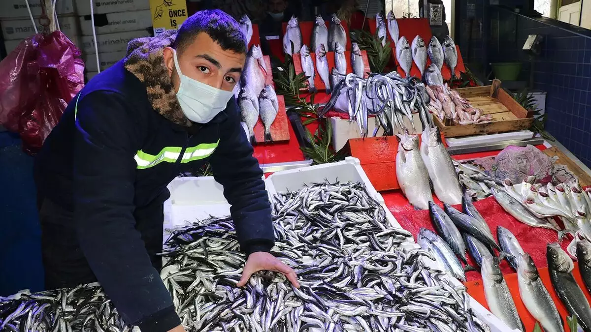 Samsun'da, balık tezgahlarında hamsi ve sarıkanat bolluğu yaşanıyor. Koronavirüs nedeniyle balığa olan talebin arttığını söyleyen balıkçılar, fiyatların da düştüğünü belirtti.