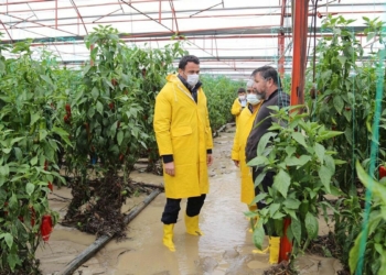 Sel ve su baskınında 70 dönüm alan zarar gördü