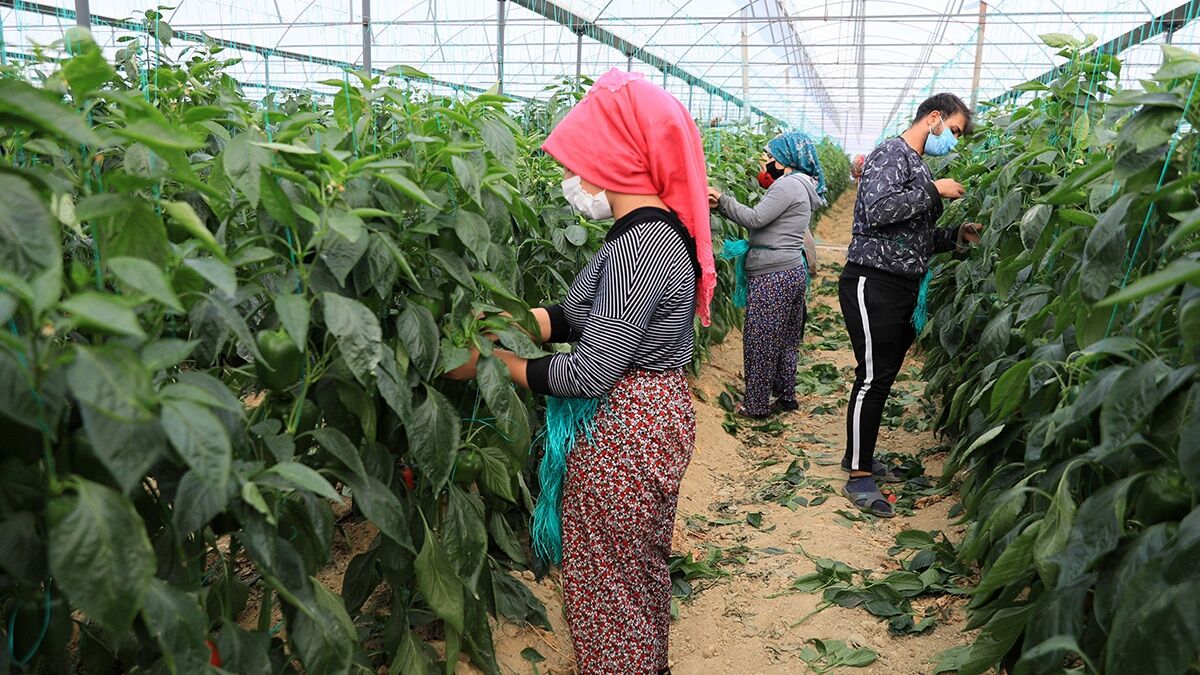 Üretici maske, mesafe ve hijyen kurallarına uyarak çalıştı