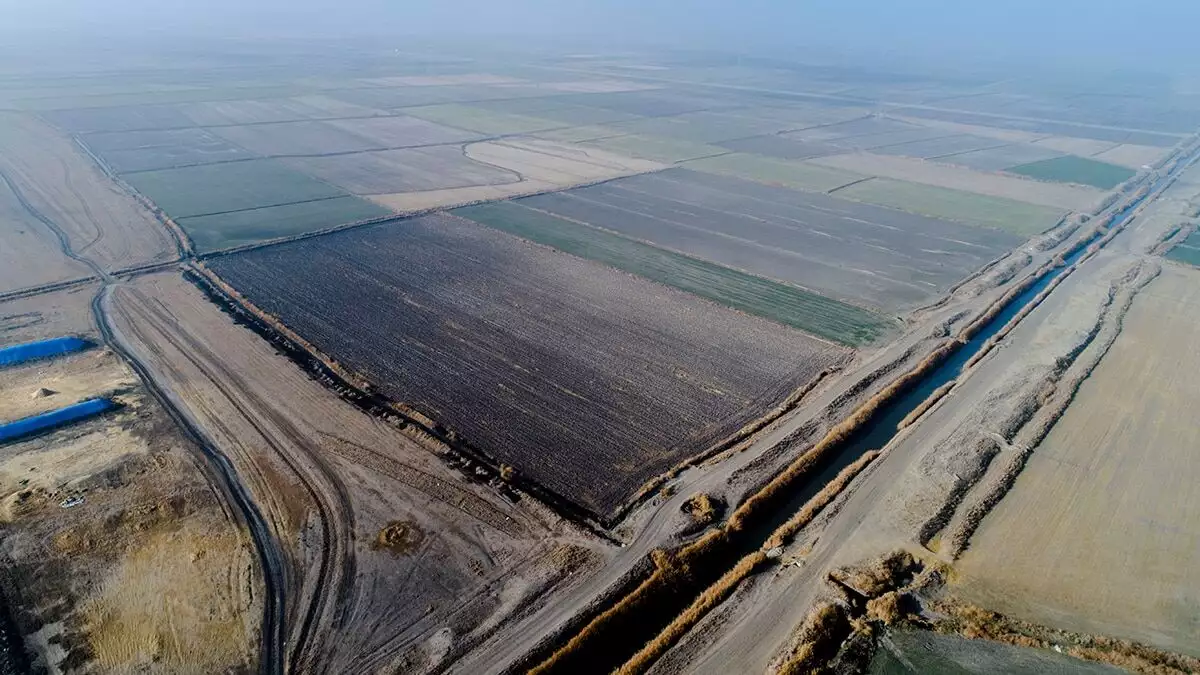 Türkiye'nin tahıl ambarı olarak bilinen ve bu yıl yağışların yetersizliği nedeniyle kuraklık tehlikesi olan konya ovası'na son günlerde düşen yağışlar sevindirdi.