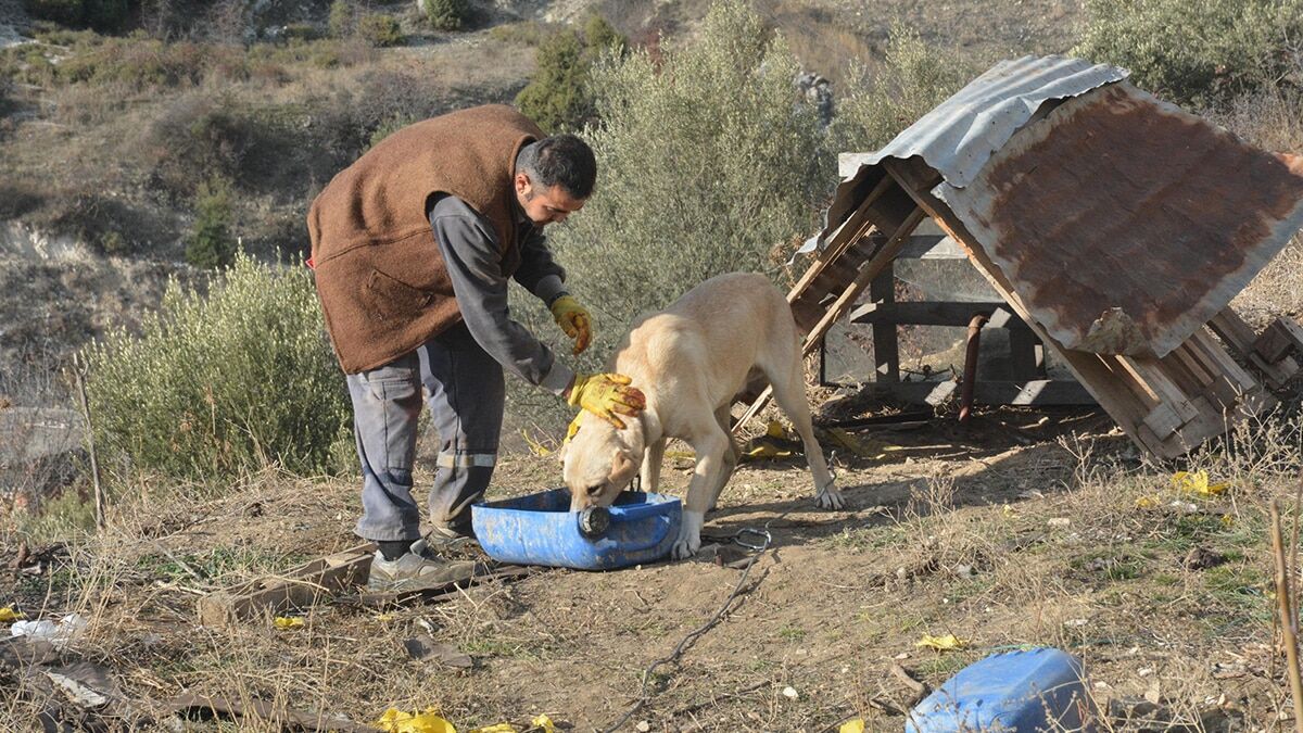 Koronavirüsten kaçtı, köy hayatını tercih etti