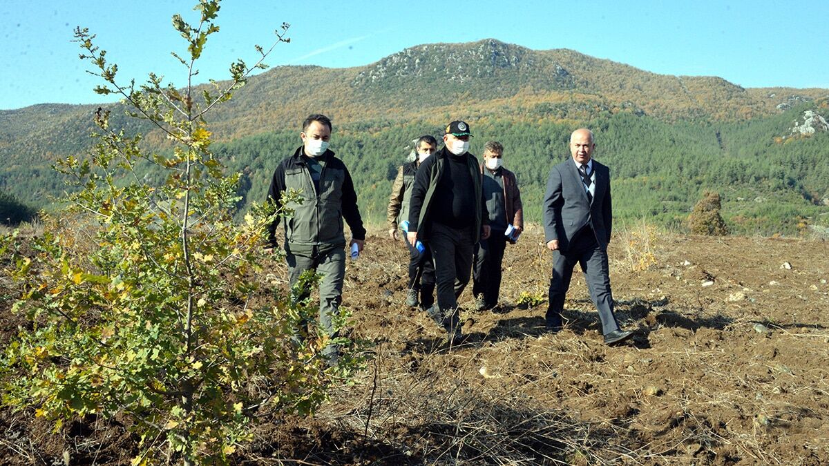 Trüf mantarından 500 bin liralık gelir bekleniyor