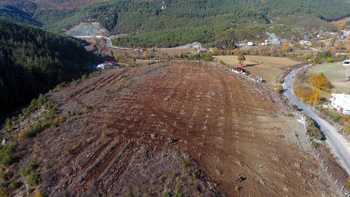 Trüf mantarından 500 bin liralık gelir bekleniyor