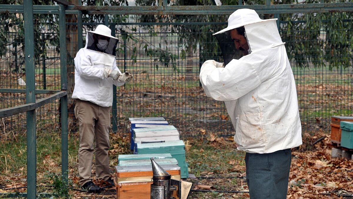 Kuraklık nedeniyle bal üretiminde düşüş yaşandı