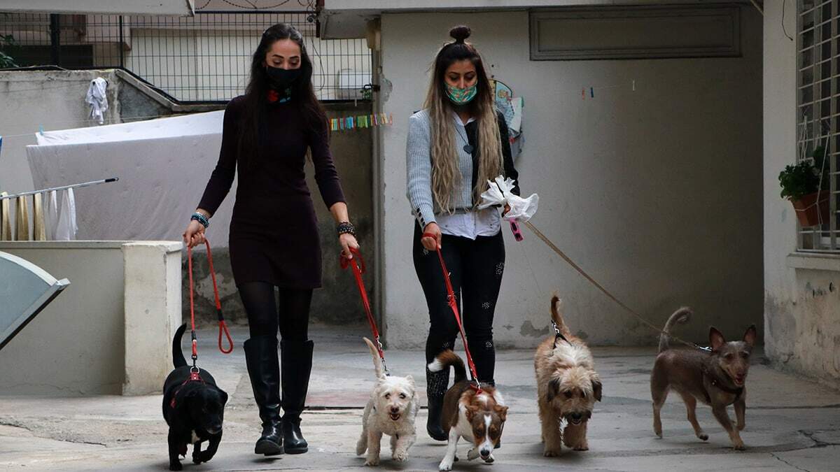 Hayvan sahiplenmeleri iki katına çıktı