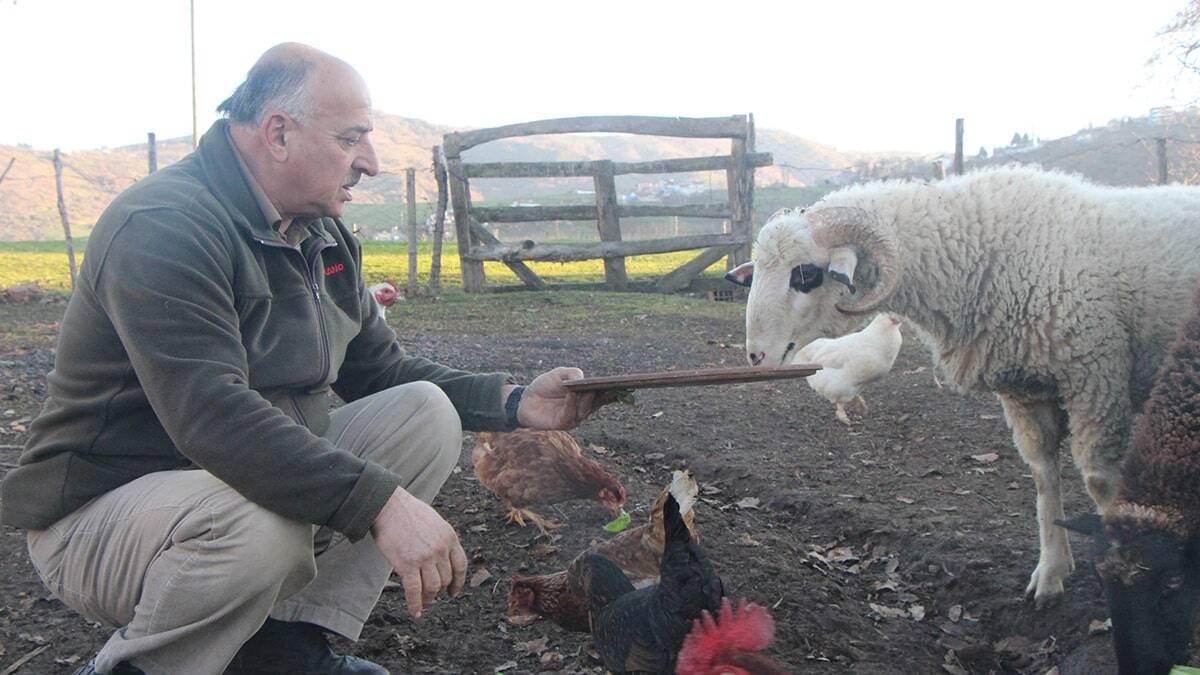 Toprakla uğraşanların sayısı artınca tohum, fide ve bitki yemlerinin yanı sıra tarım araç-gereçlerinde de talep artışı yaşanıyor. Tedarikçiler ise ikiye katlanan talepleri karşılamaya çalışıyor.