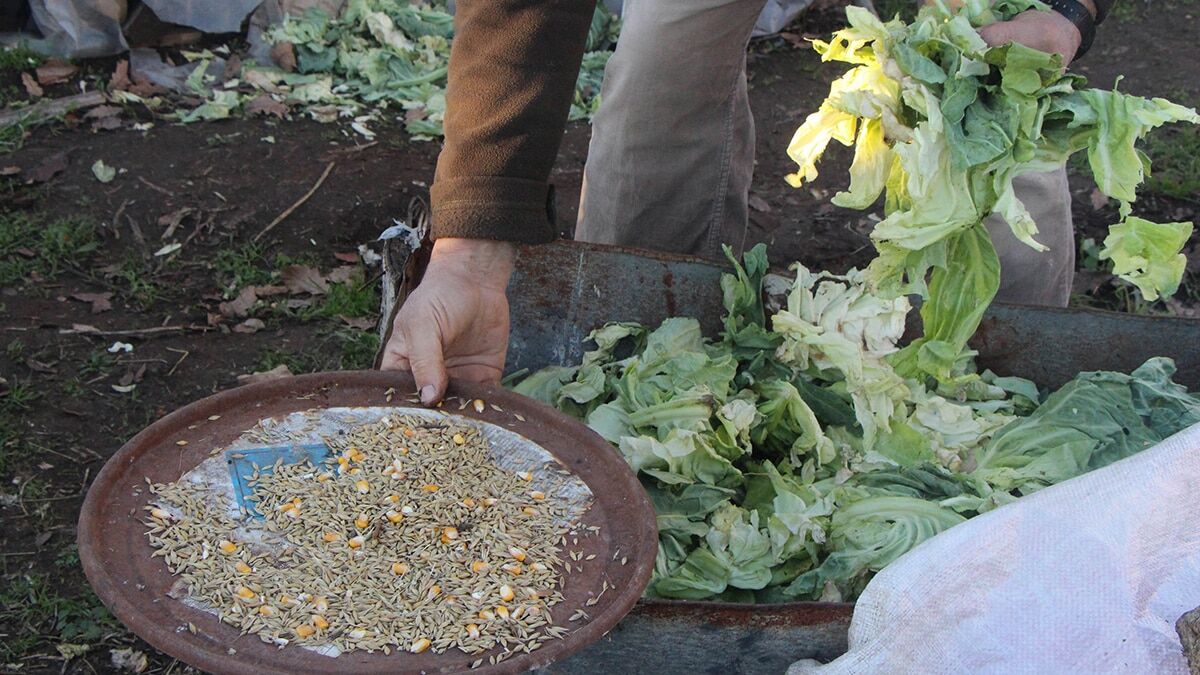 Pandemi stresini üretim yaparak atıyor
