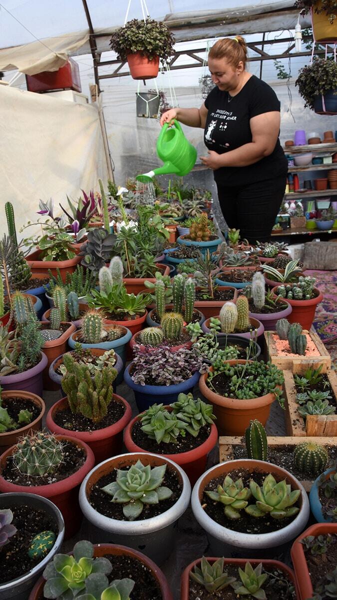 Antalya'nın Demre ilçesinde Gözde Gezer (28), pandemi döneminde hobi olarak başladığı kaktüs yetiştiriciliğini kendisine meslek edindi.