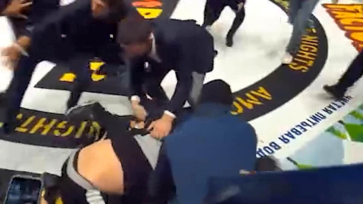 MMA dövüşçüleri Magomed Ismailov ve Vladimir Mineev, kendi müsabakaları olmamasına rağmen ringe girerek dövüştü.