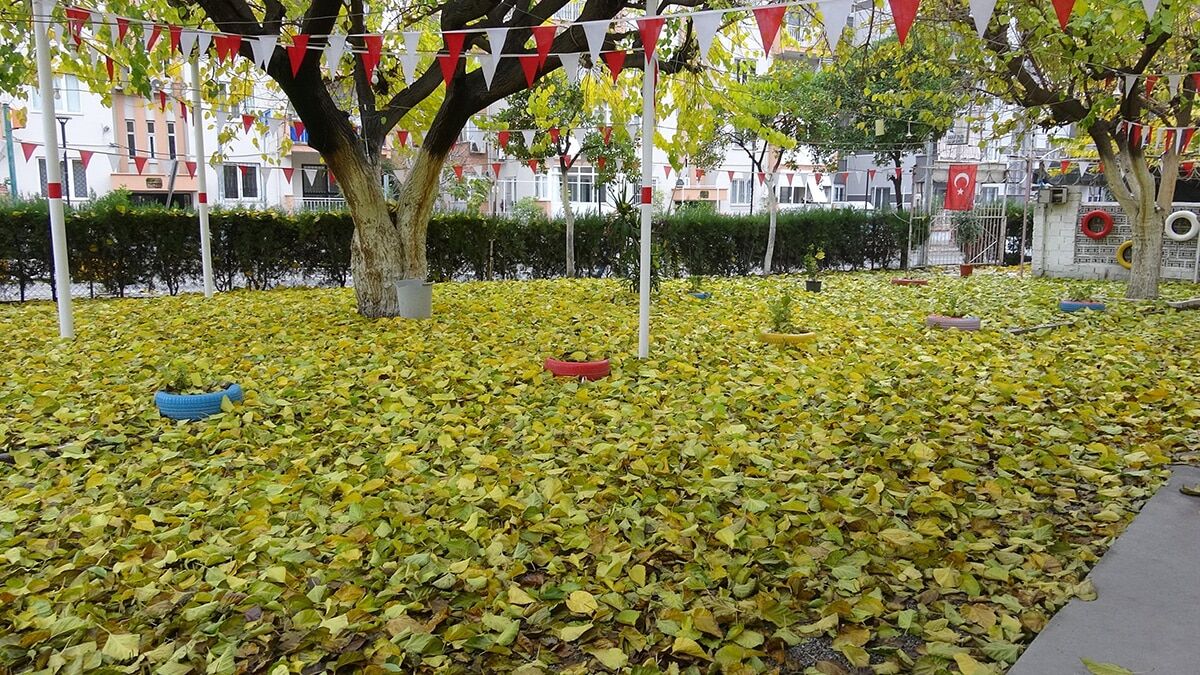 Bir zamanlar masa ve sandalyelerin koyulduğu ve insanların sohbet edip oyun oynayarak vakit geçirdiği çay bahçesi, dökülen sararmış yapraklarla doldu.