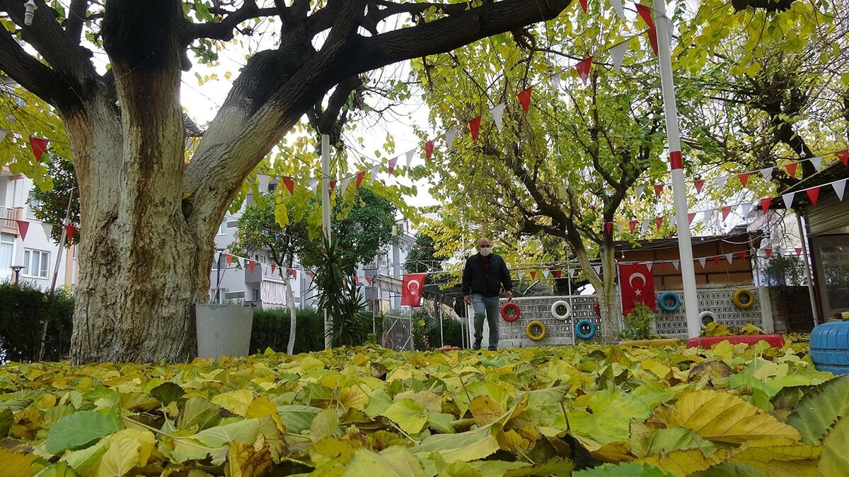 Ağaçlardan dökülen yapraklar seyirlik manzara oluşturdu