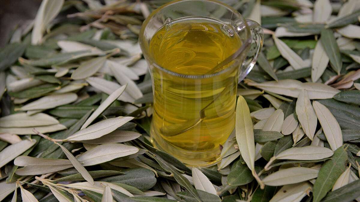 Pandemide zeytin yaprağına rağbet arttı