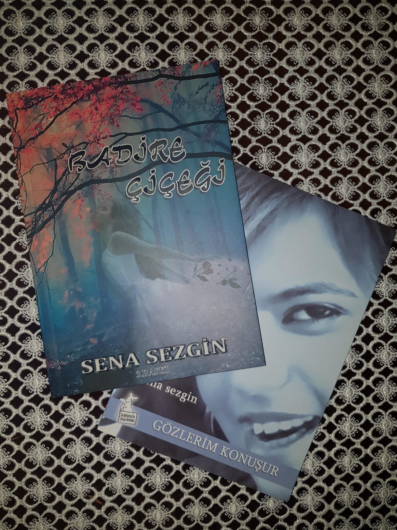 Serebral palsi hastası Sena yüzlerce şiir yazdı