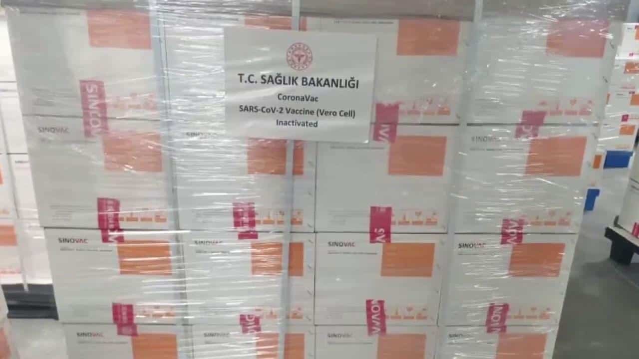 Çin aşısı yarın Türkiye'ye geliyor