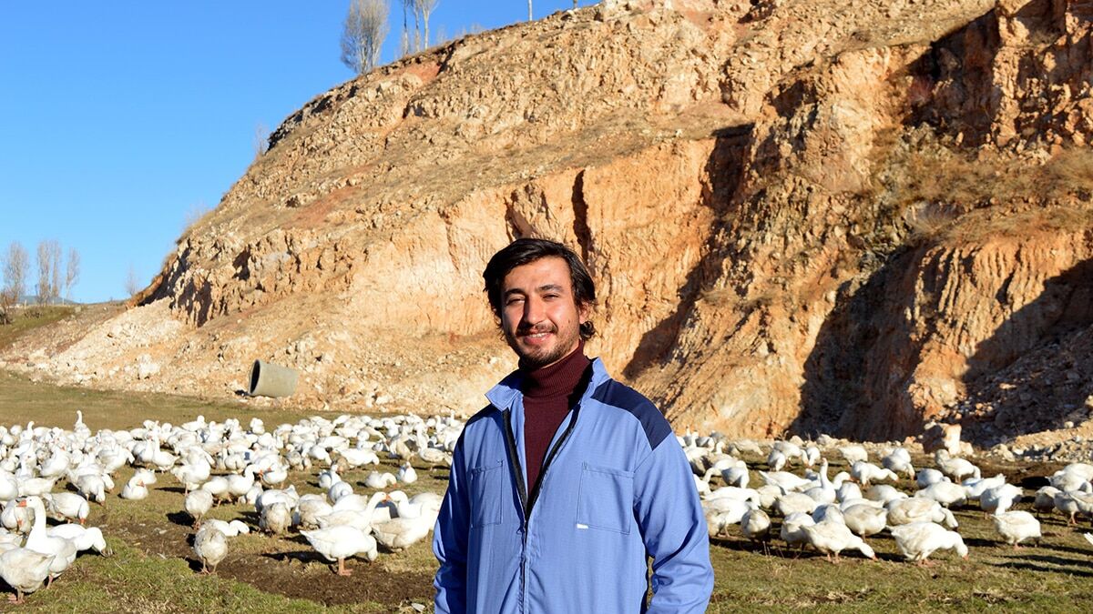 Siyasal mezunu, Çiftçi 2 yılda bine yakın kaz yetiştirdi