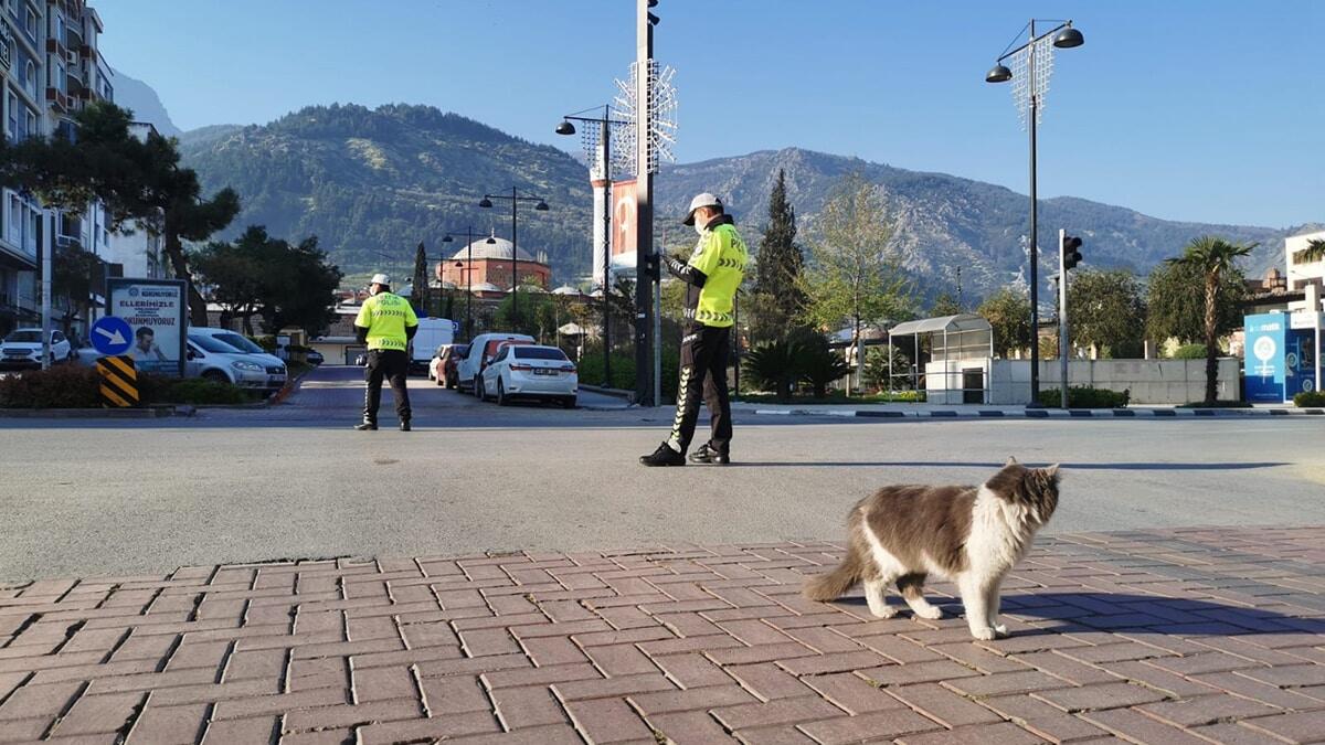 İçişleri Bakanlığı'nca, 81 İl Valiliği'ne yılbaşında uygulanacak sokağa çıkma kısıtlamalarıyla ilgili ek genelge gönderildi.
