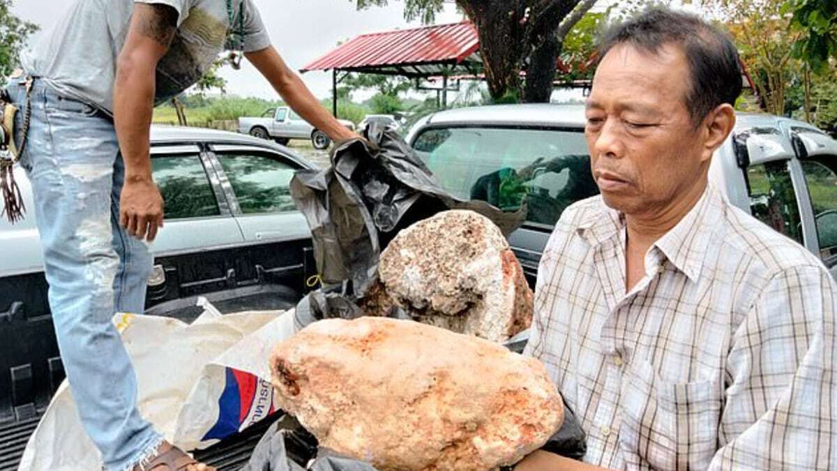 250 milyon TL değerinde ambergris buldu