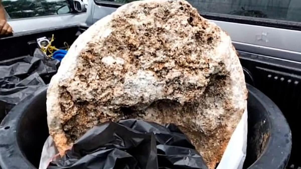 Tayland’da bir balıkçı, sahilde 2,4 milyon pound 250 milyon TL değerinde ambergris buldu.