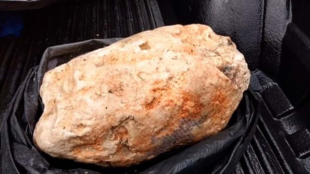 250 milyon TL değerinde ambergris buldu