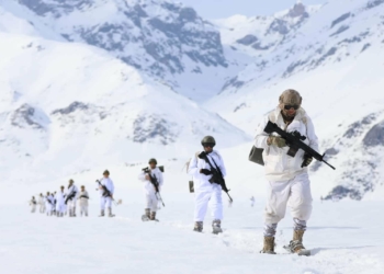 Yıldırım- 4 Munzur Kutu operasyonunda teröre darbe