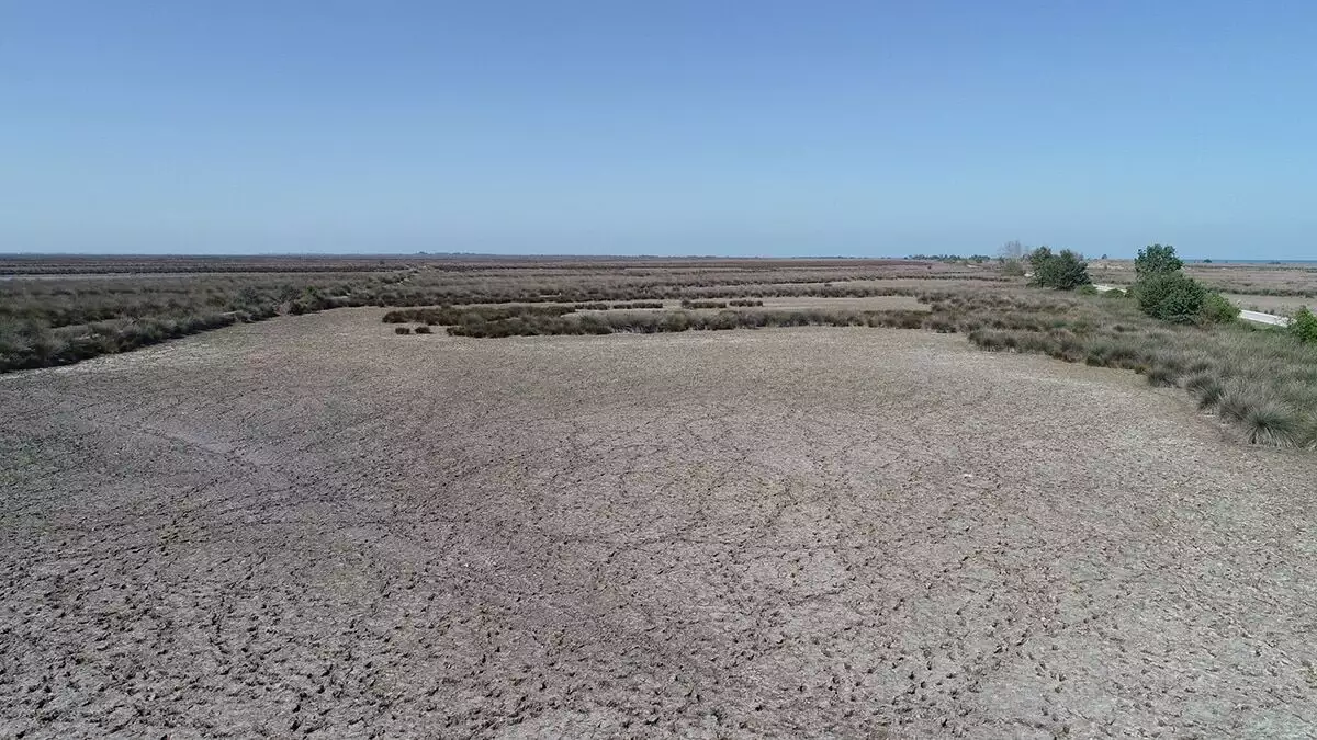 Kızılırmak deltası'nda su seviyesi 1 metre çekildi