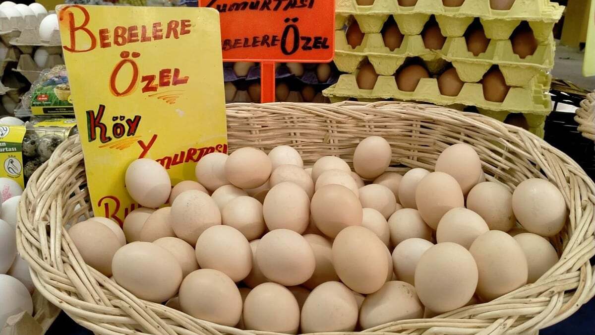Uçan, "Organik yumurta satın alırken seri numarası olup olmadığı kontrol edilmeli." dedi.