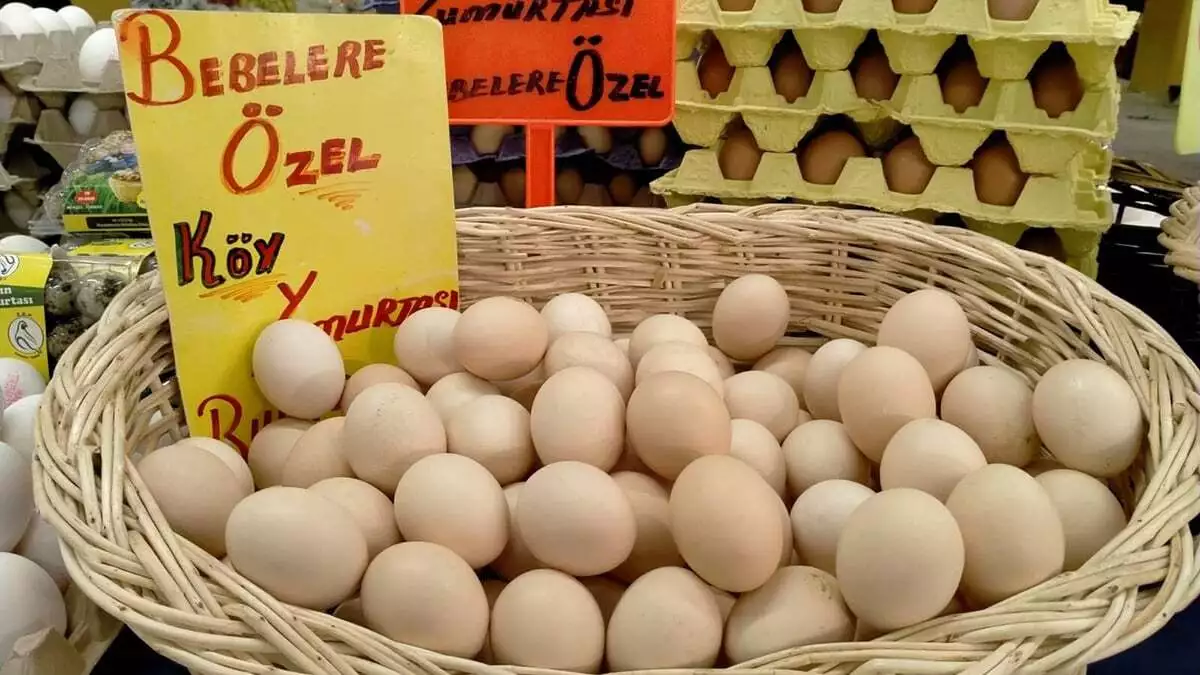 Uçan, "organik yumurta satın alırken seri numarası olup olmadığı kontrol edilmeli. " dedi.