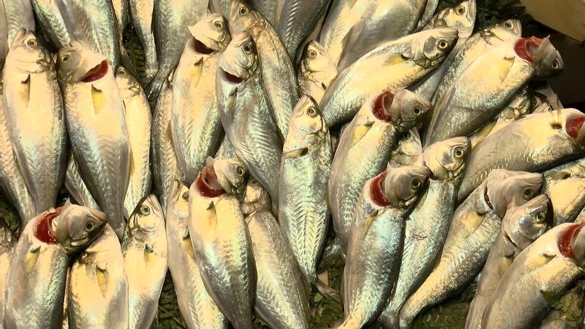 Soğan sarımsak yiyin, balık tüketin